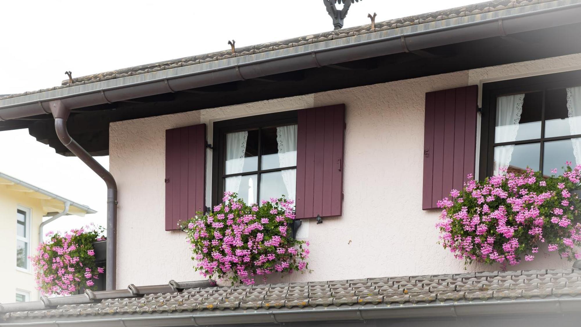 Gaestehaus Sattlerhof Bernau am Chiemsee Extérieur photo